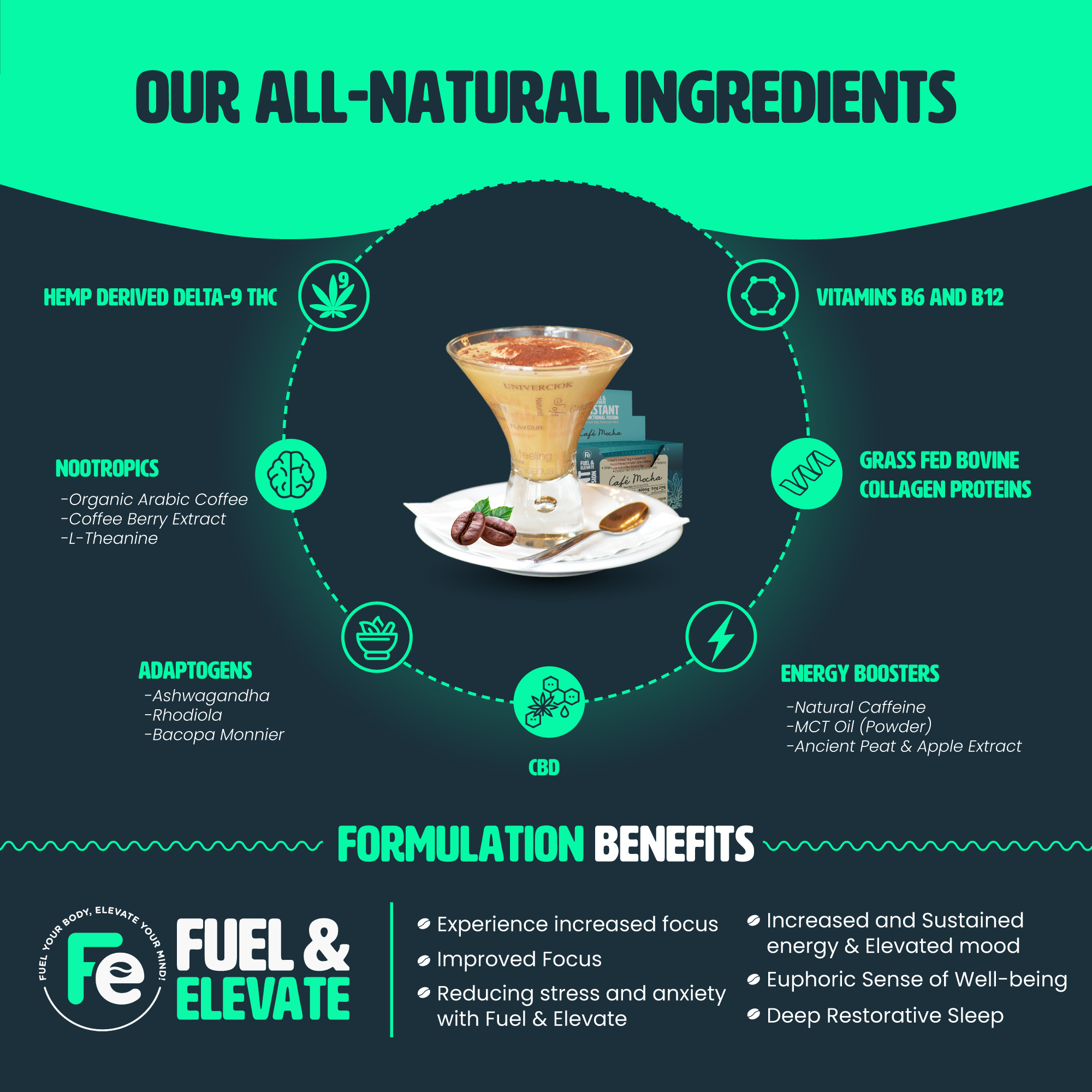 Infographic Design by Adi GFX for this project | Design #33091708