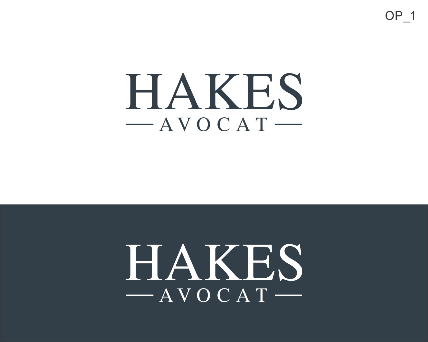 Logo Design by SanaPixel for this project | Design #36134817