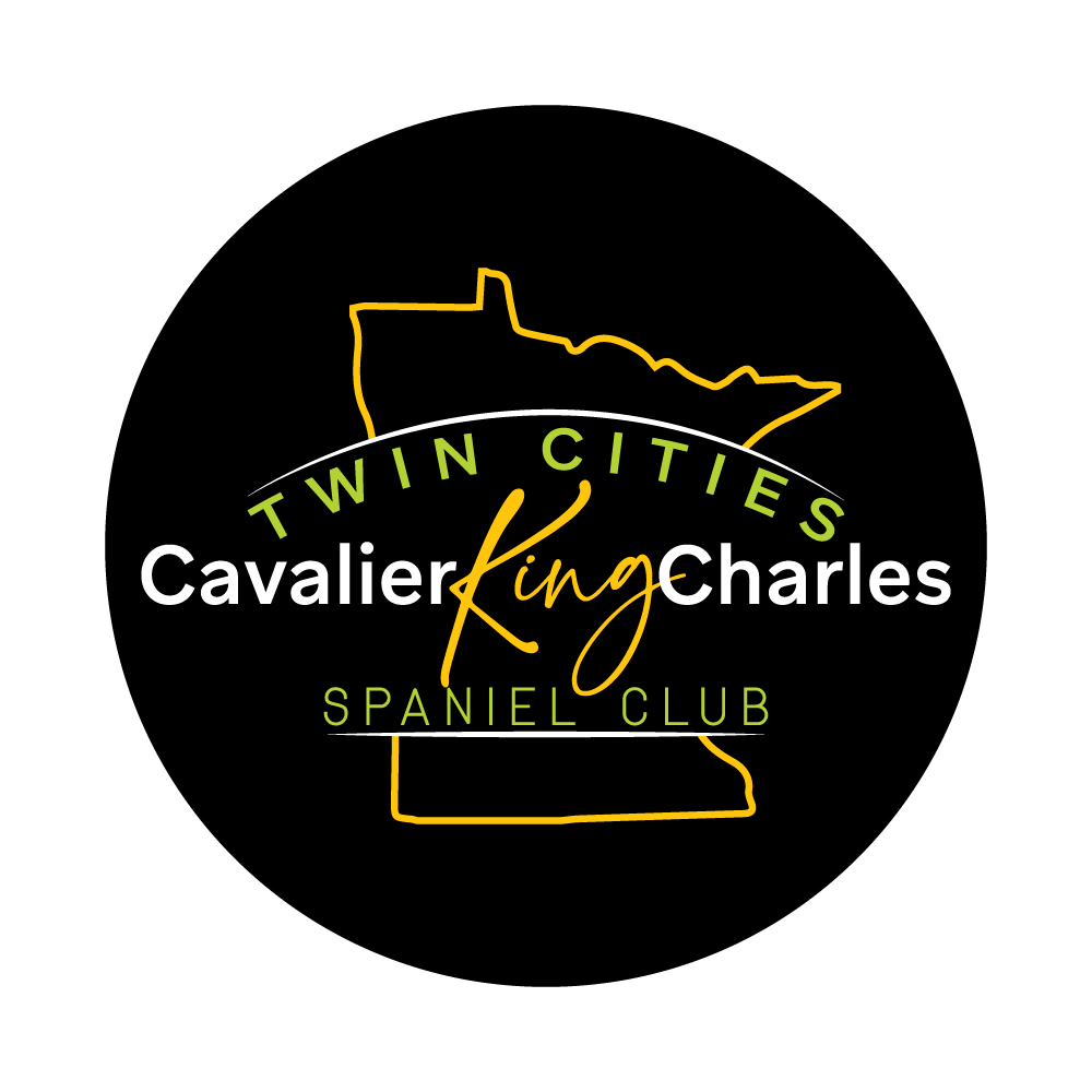 Design de Logo par VectorForge pour ce projet | Design #33087453