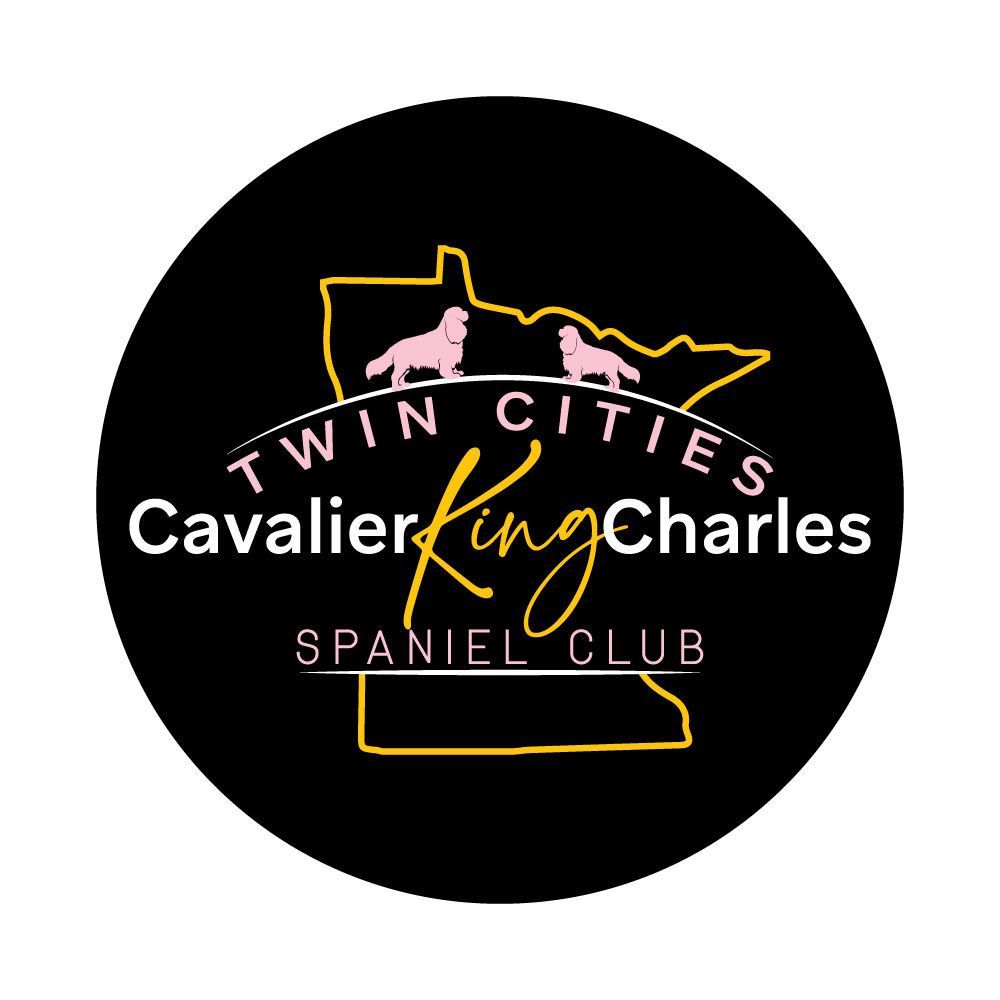 Design de Logo par VectorForge pour ce projet | Design #33087472