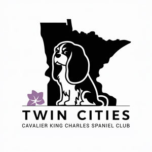 Logo Design by Mir Graphics for this project | Design #33086273