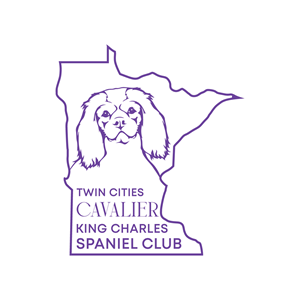 Logo Design by SHbro for this project | Design: #33115166