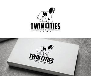 Logo Design by Ansh Design for this project | Design: #33077050