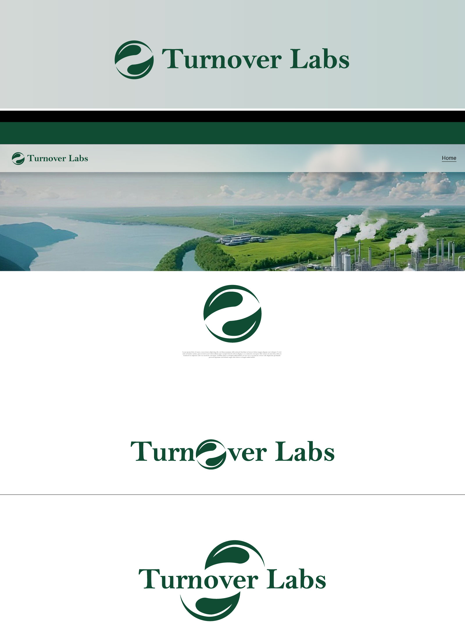 Logo Design by F a r i s a for Turnover Labs | Design #33090200