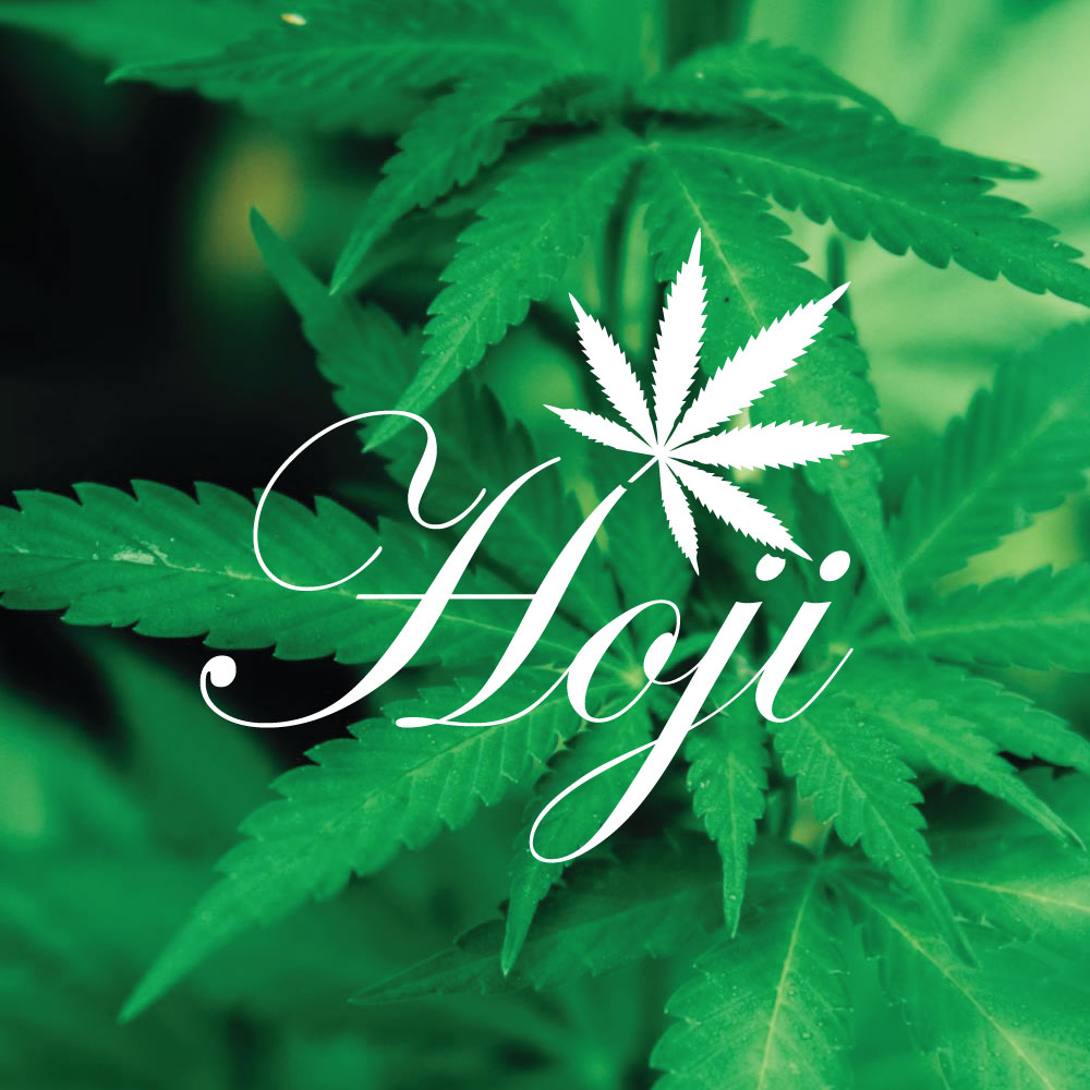 Logo Design by Ahmed Sami 1 for this project | Design #33094896