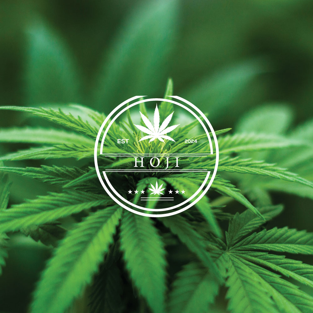 Logo Design by Ahmed Sami 1 for this project | Design #33094897