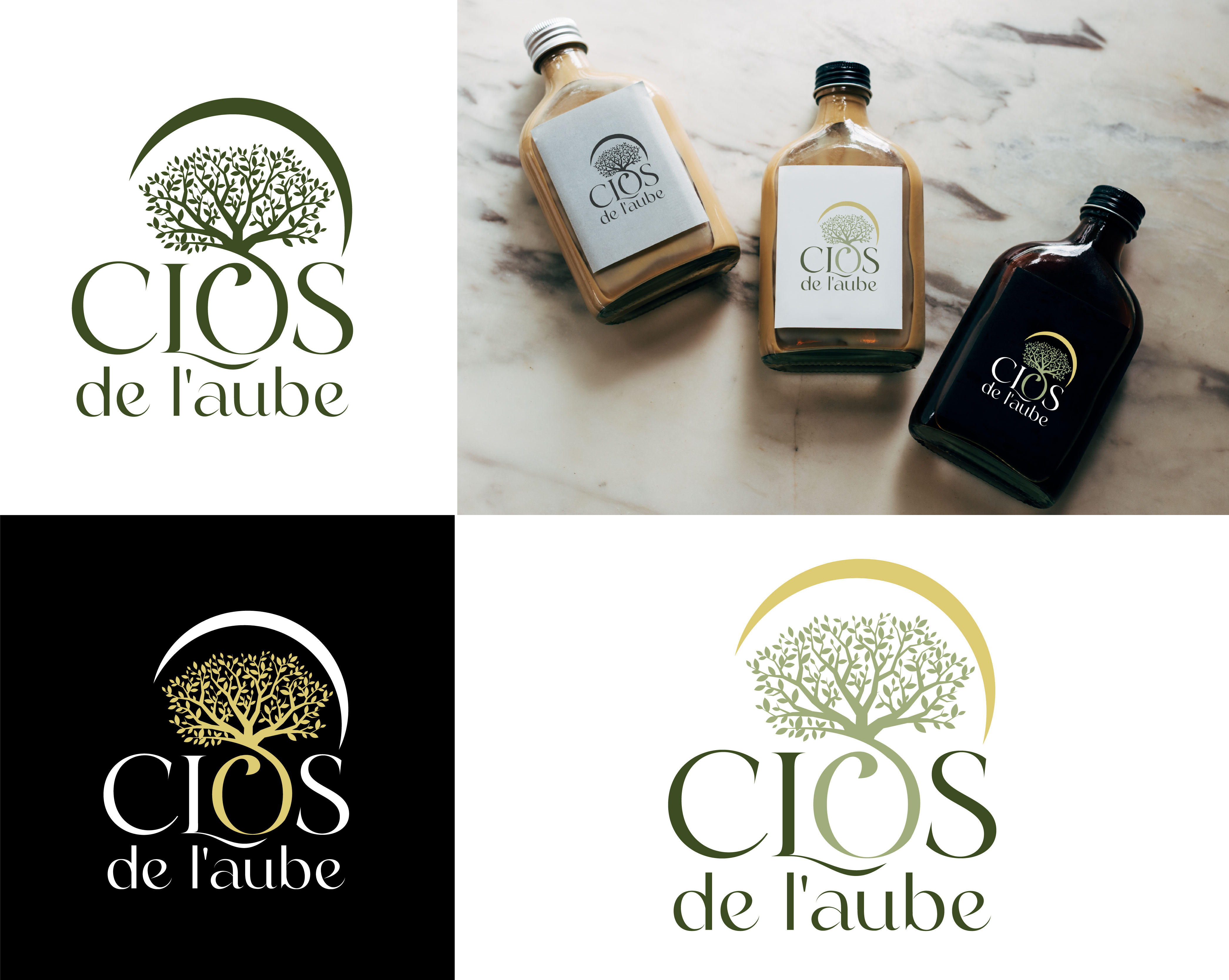 Design de Logo par AliArsh pour ce projet | Design #33104384