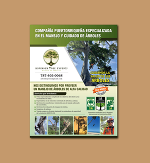 Flyer Design by meet007 for this project | Design: #33109473