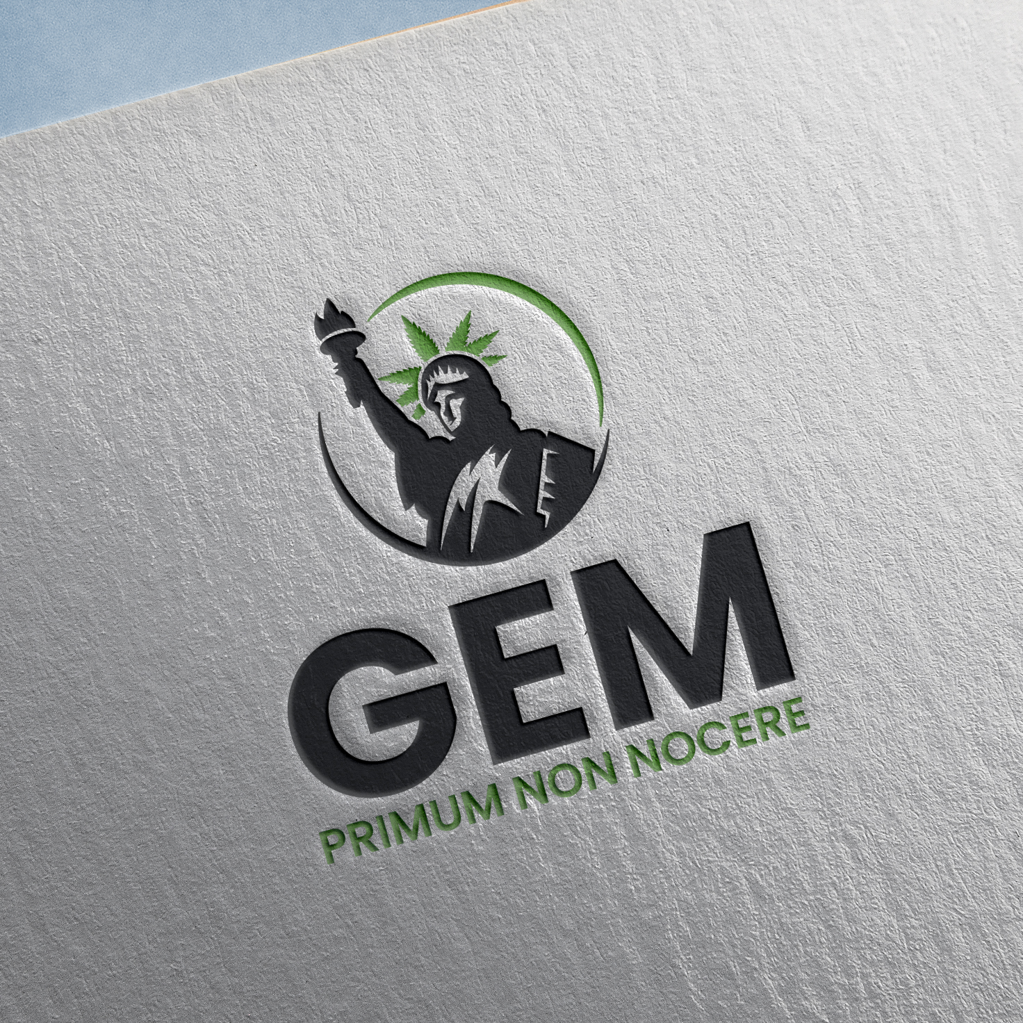 Logo Design by Publik Logo for Green Express Med, LLC (GEM) | Design #33098167