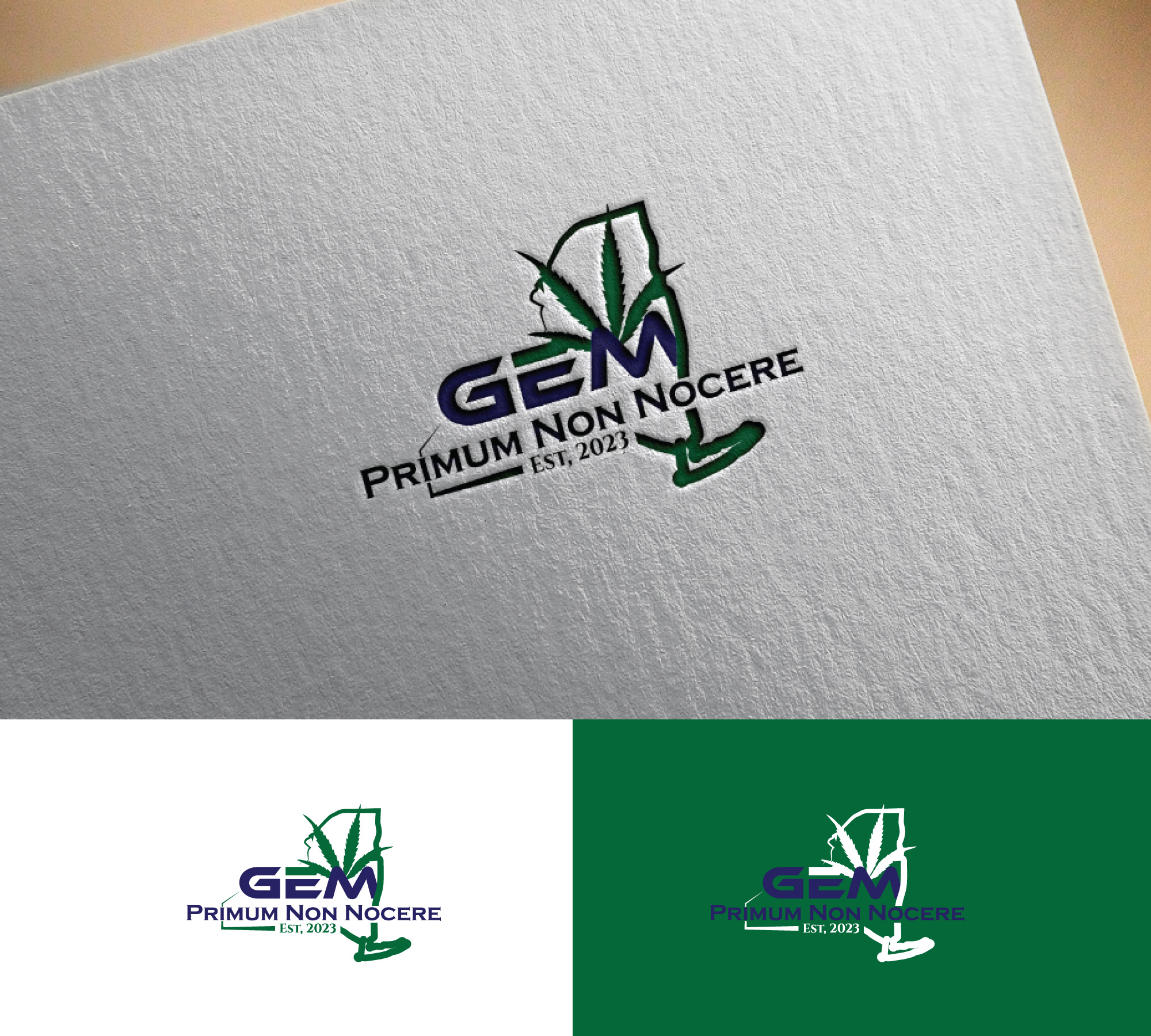Design de Logo par RRR Design pour Green Express Med, LLC (GEM) | Design #33103897