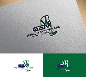 Design de Logo par RRR Design pour Green Express Med, LLC (GEM) | Design : #33103897