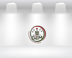 Design de Logo par Daniel Khan pour Green Express Med, LLC (GEM) | Design : #33097037