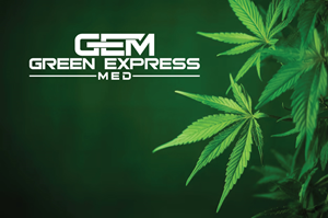 Logo Design by Spark  Design for Green Express Med, LLC (GEM) | Design: #33097289