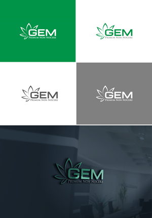 Design de Logo par AL-BARAKAH pour Green Express Med, LLC (GEM) | Design : #33099082