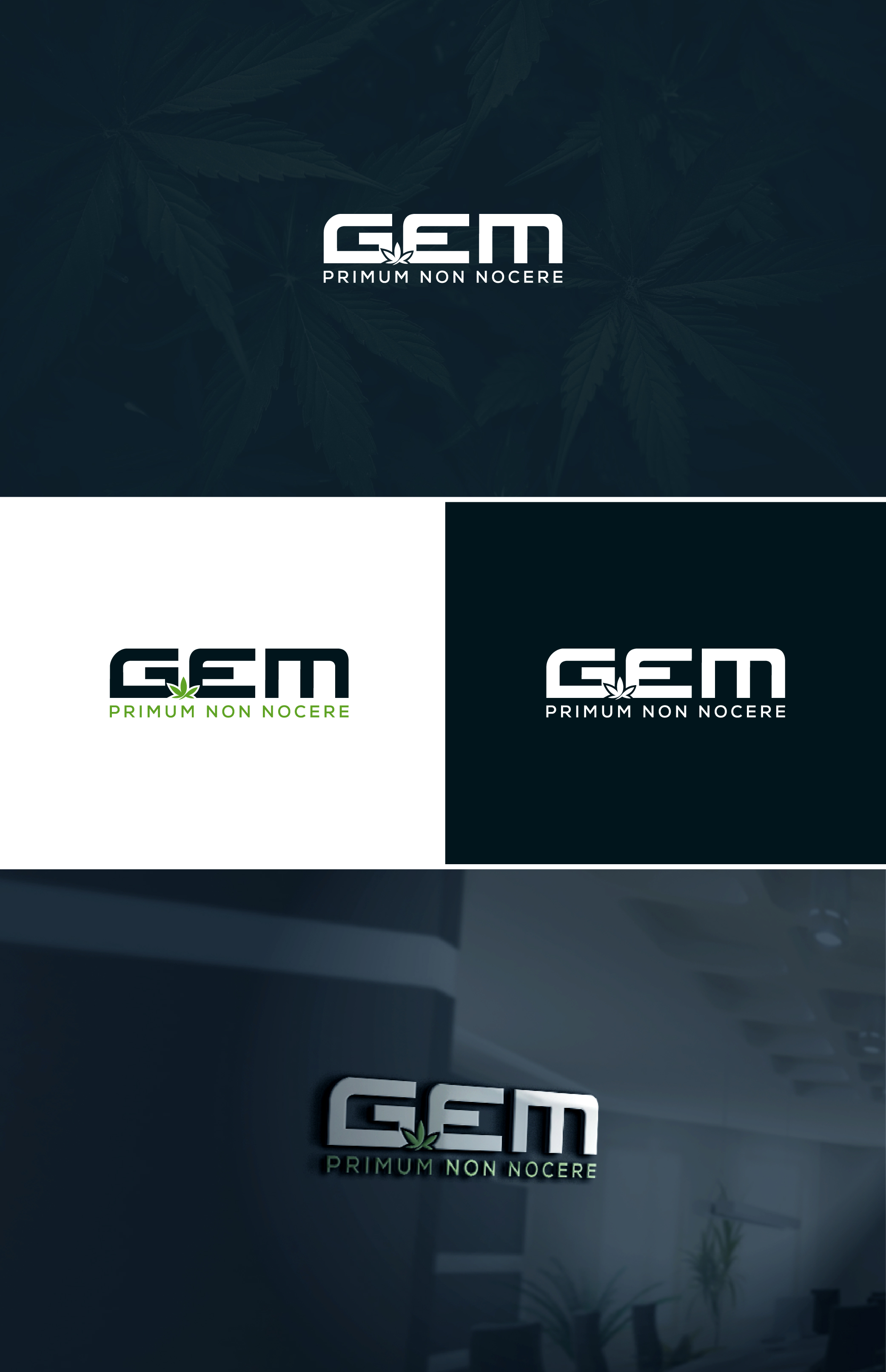 Design de Logo par AL-BARAKAH pour Green Express Med, LLC (GEM) | Design #33099106