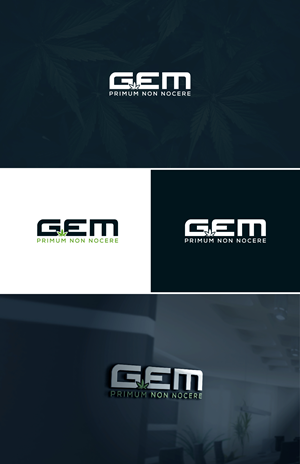 Design de Logo par AL-BARAKAH pour Green Express Med, LLC (GEM) | Design : #33099106