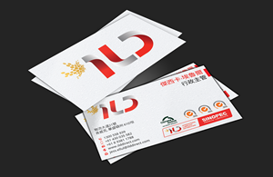 Business Card Design by DesignerShahadat for ILD-SINOPEC | Design: #33109211