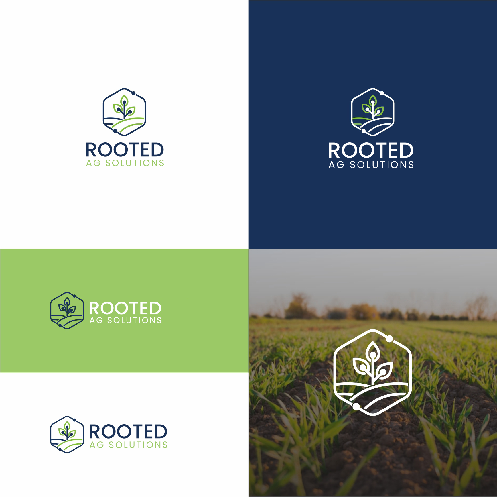 Logo Design by ratul09 for Rooted AG Solutions | Design #33121491