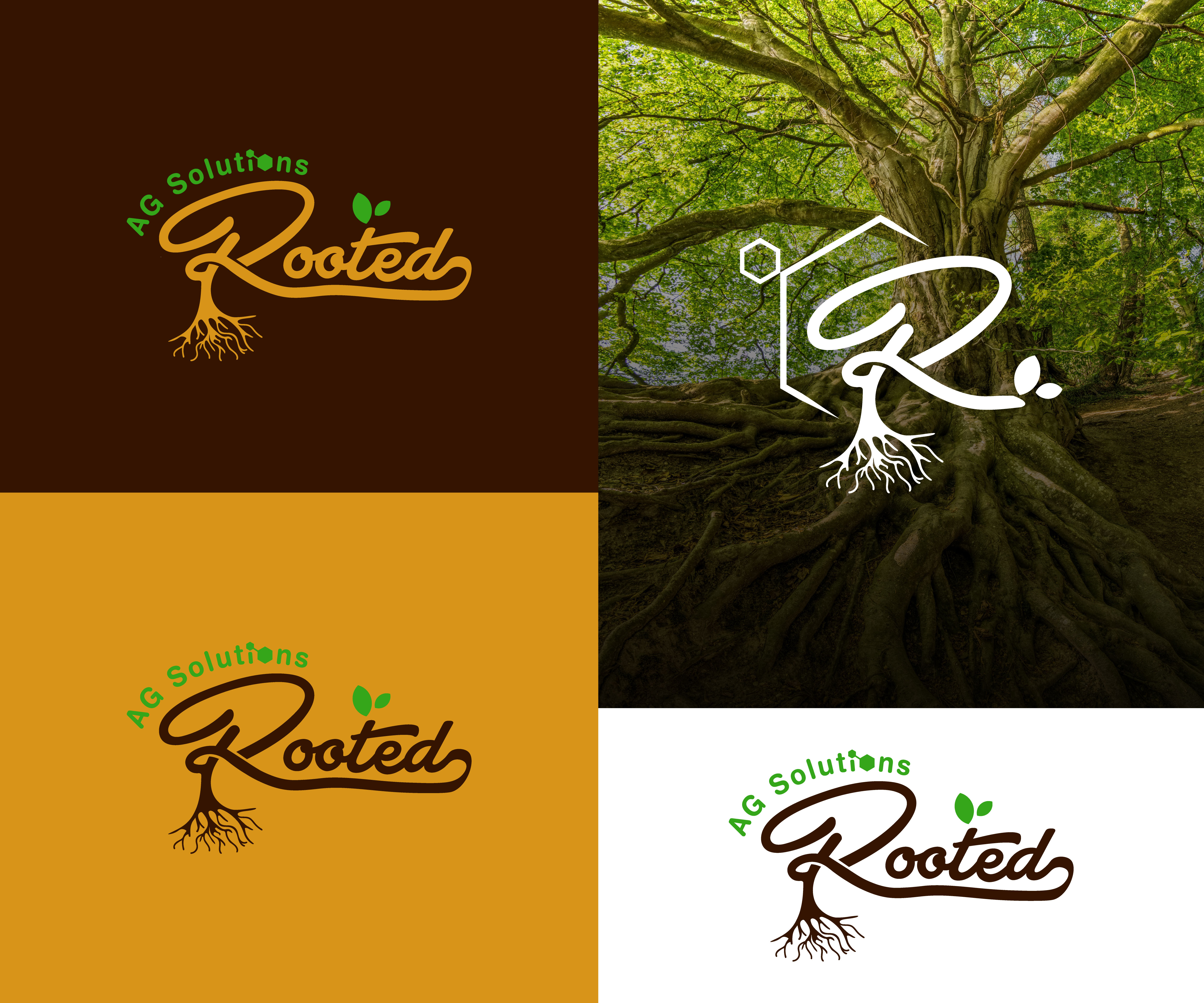 Logo Design by Fahmida Sattar Santa for Rooted AG Solutions | Design #33120319