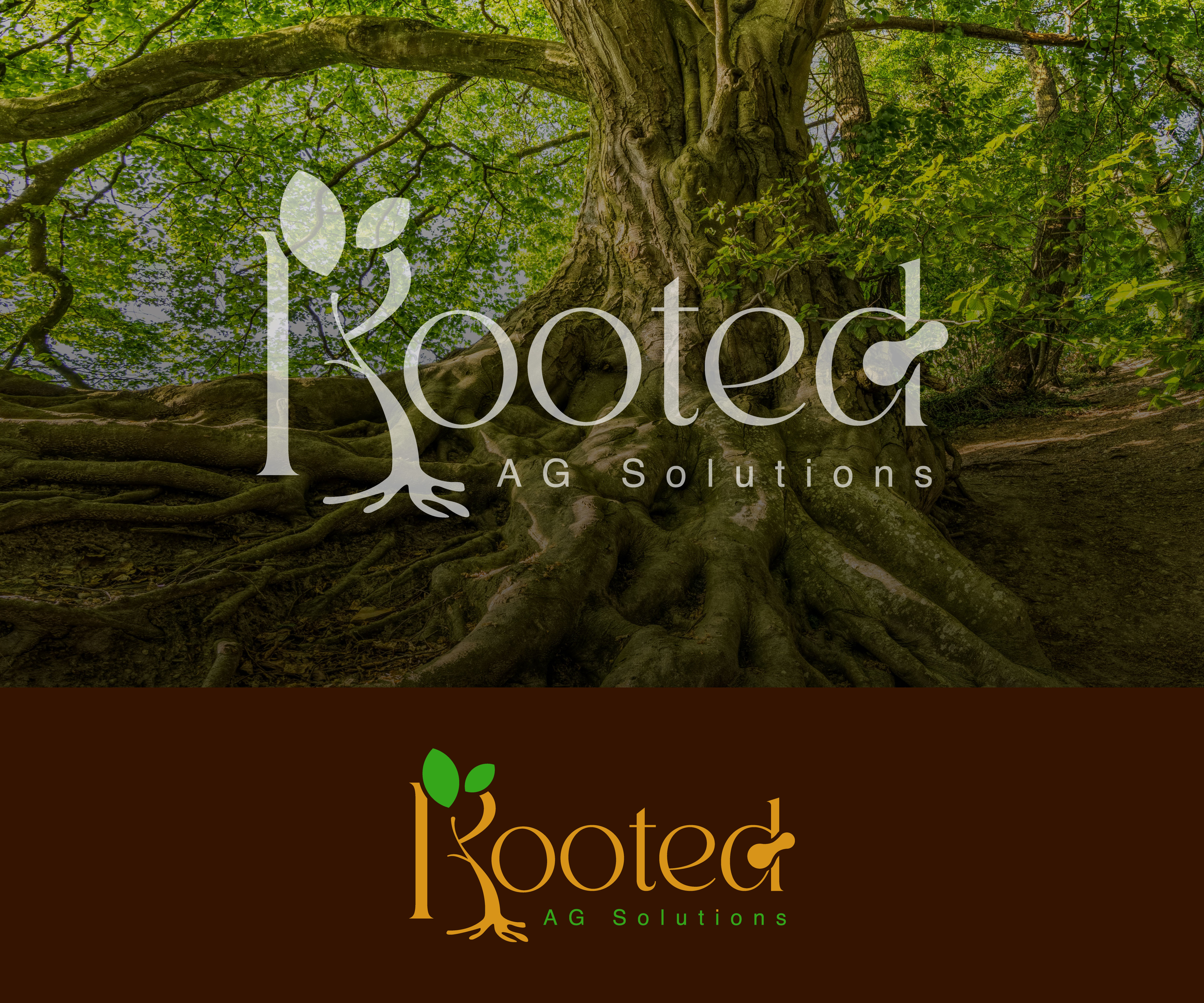 Logo Design by Fahmida Sattar Santa for Rooted AG Solutions | Design #33120846