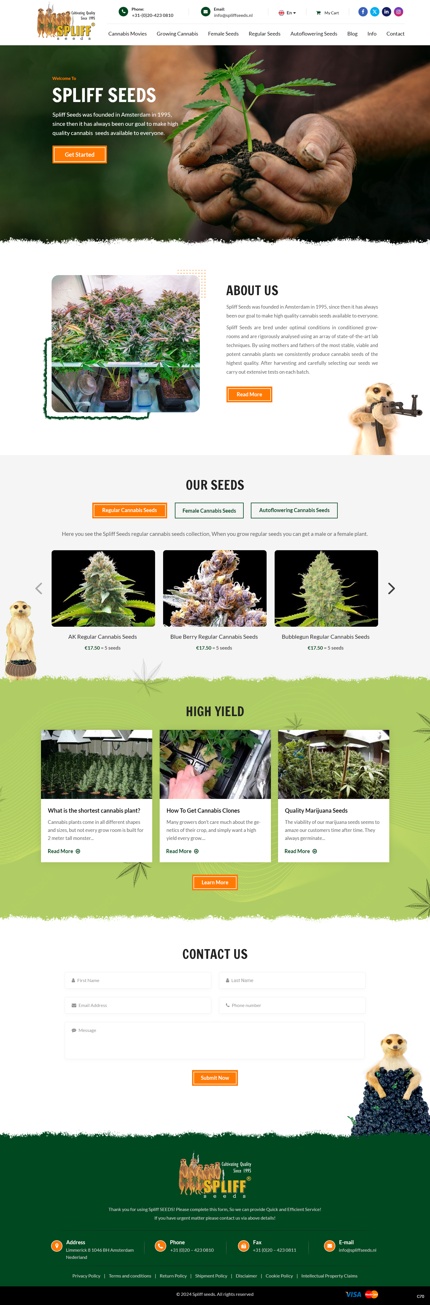 Web Design par pb pour ce projet | Design #33137827