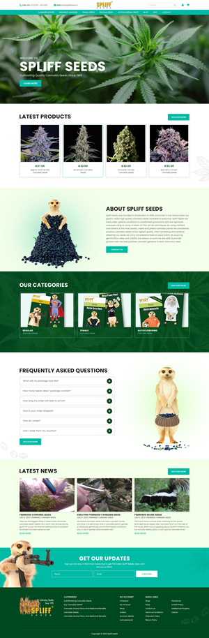 Web Design par creative.bugs pour ce projet | Design : #33150587