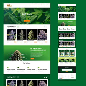 Web Design par GraphicSujit pour ce projet | Design : #33179589