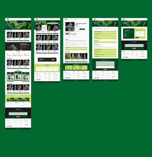 Web Design par GraphicSujit pour ce projet | Design : #33193039