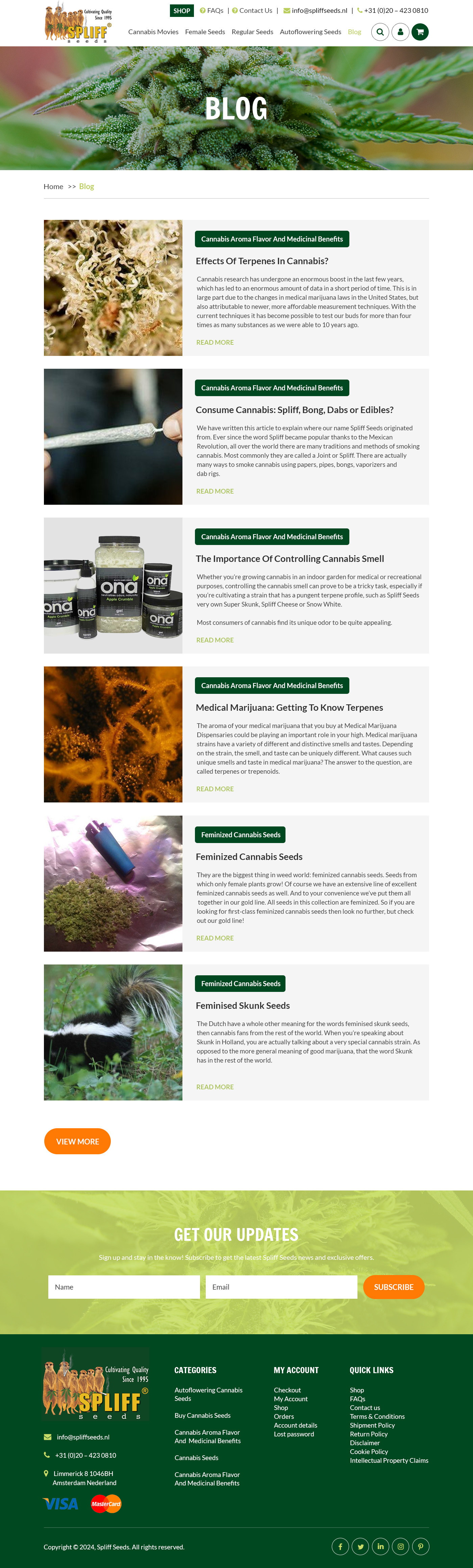 Web Design par Starlyn DS pour ce projet | Design #33149582