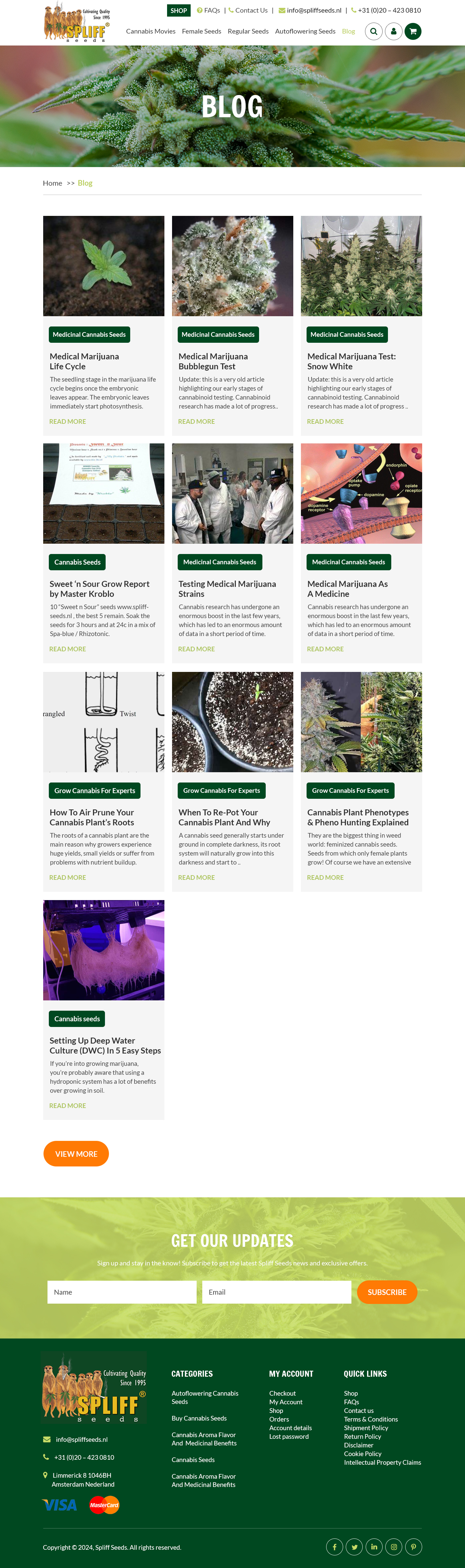 Web Design par Starlyn DS pour ce projet | Design #33150664