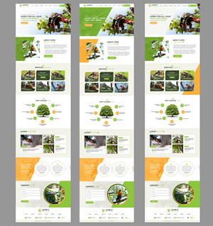 Diseño Web por Blue Sparrow para este proyecto | Diseño: #33128893