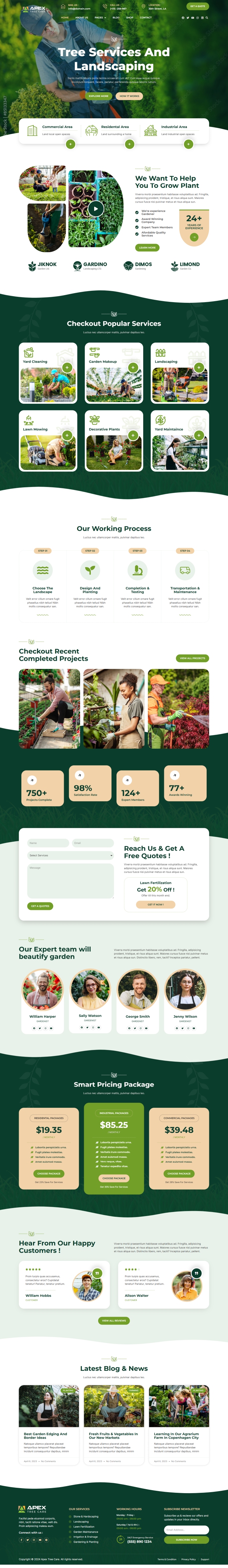 Web Design by Amd87 for this project | Design #33147633