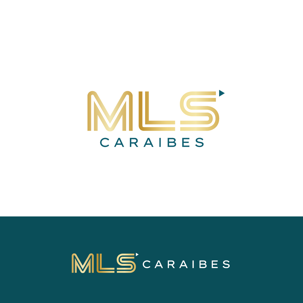 Logo Design by Franabanana for this project | Design #33175884