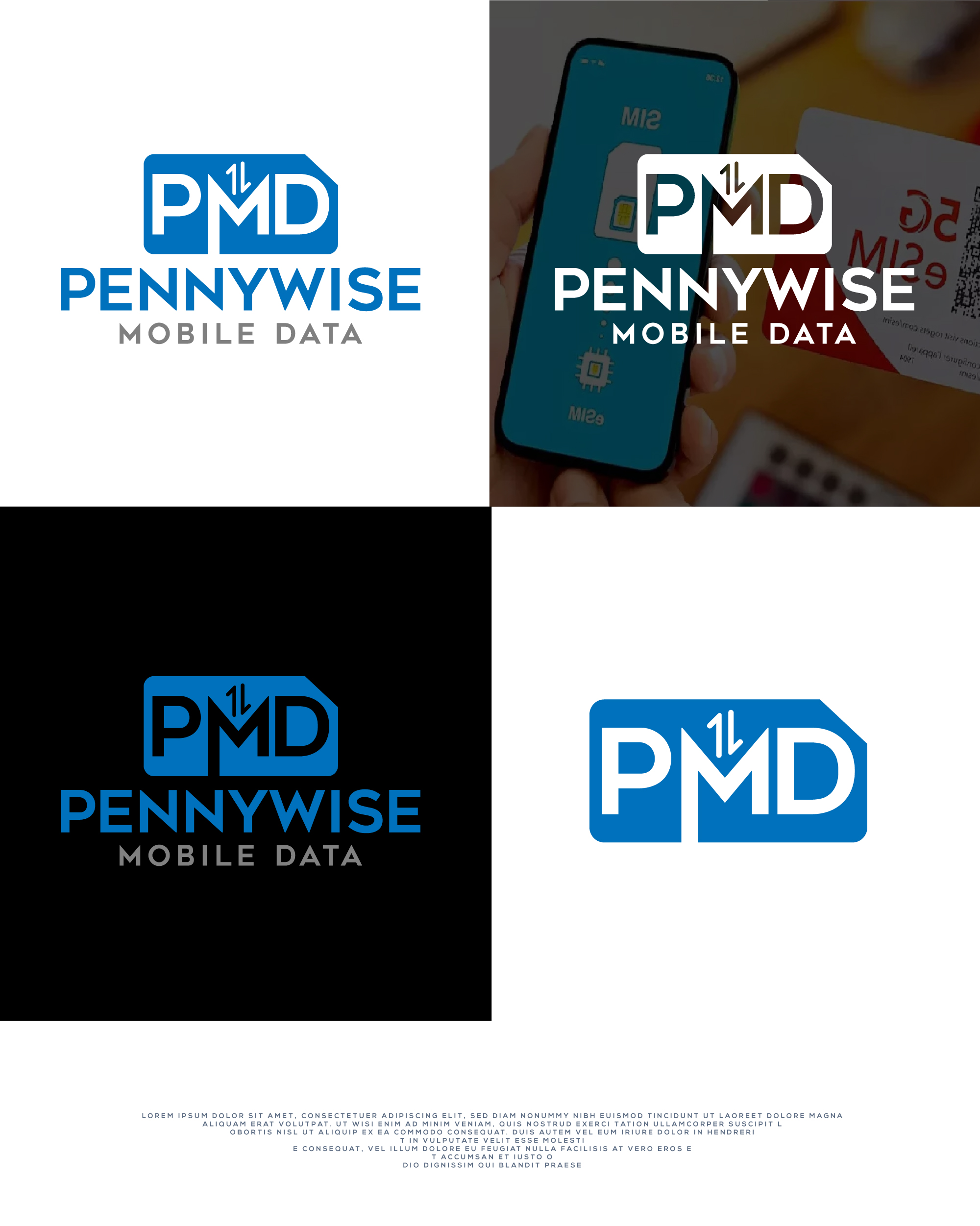 Logo Design by akdesigner99 for Net Vision Consultants, Inc. | Design #33120473