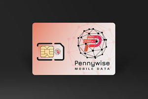 Logo-Design von Jibon Chowdhury für Net Vision Consultants, Inc. | Design: #33137054