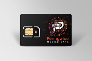 Logo-Design von Jibon Chowdhury für Net Vision Consultants, Inc. | Design: #33137057