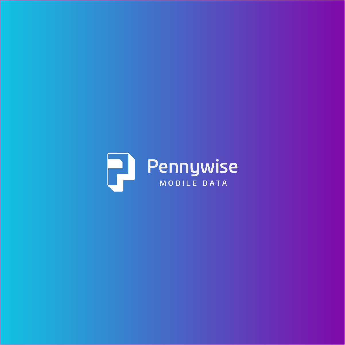 Logo-Design von Dynopoint für Net Vision Consultants, Inc. | Design #33158407