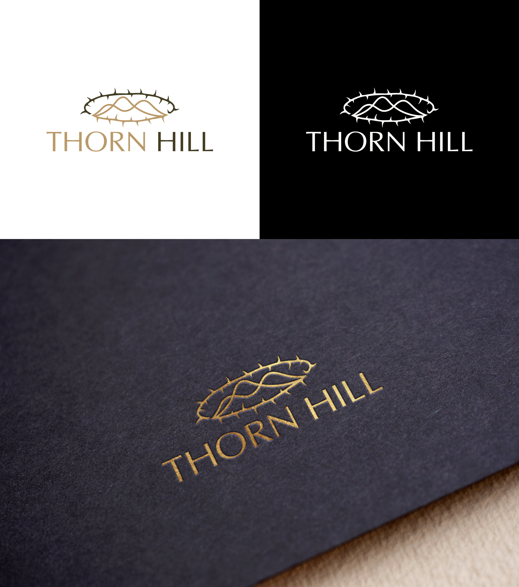 Logo Design by RA-bica for ThornHill | Design #33130913