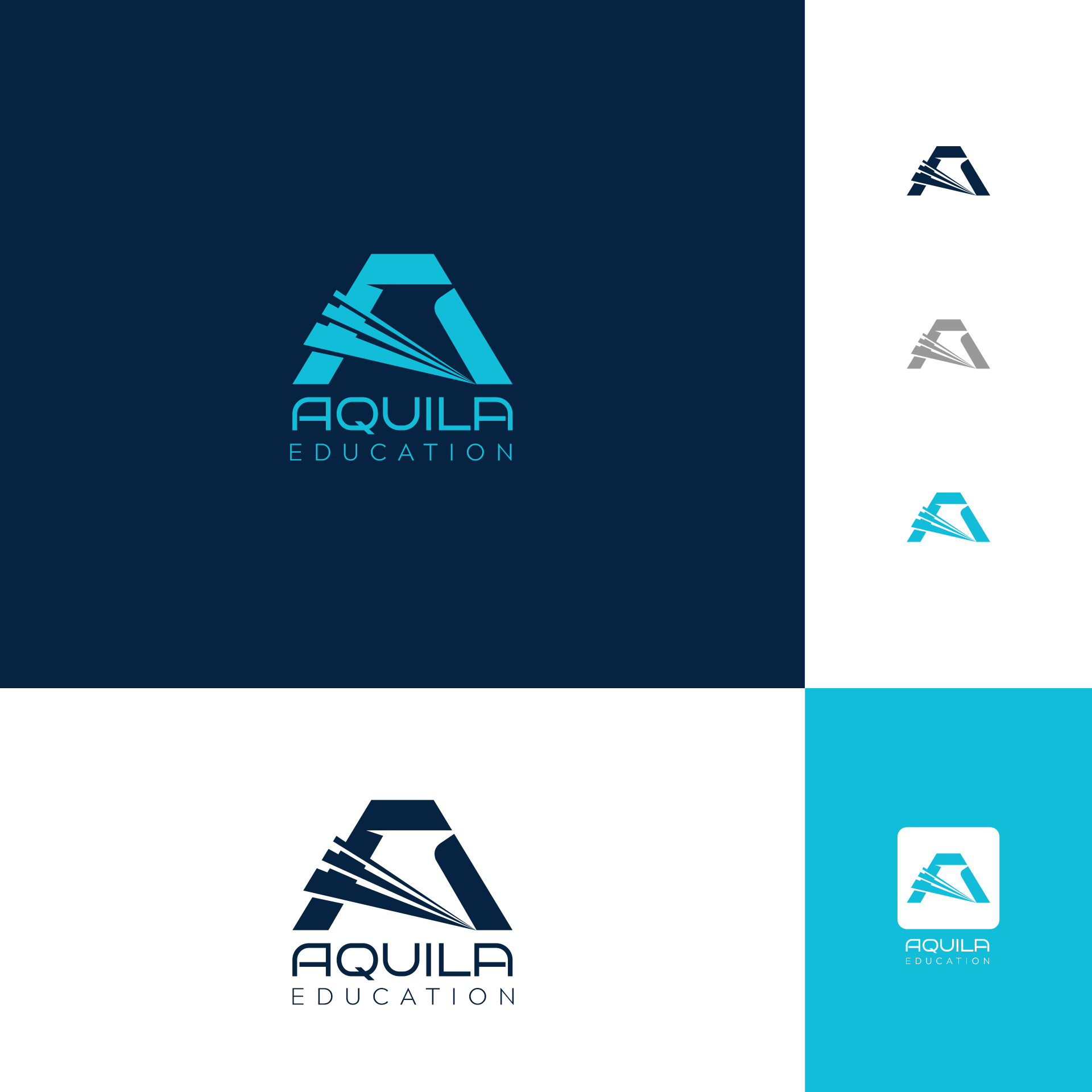 Logo Design by AMBStudio for this project | Design #33124519