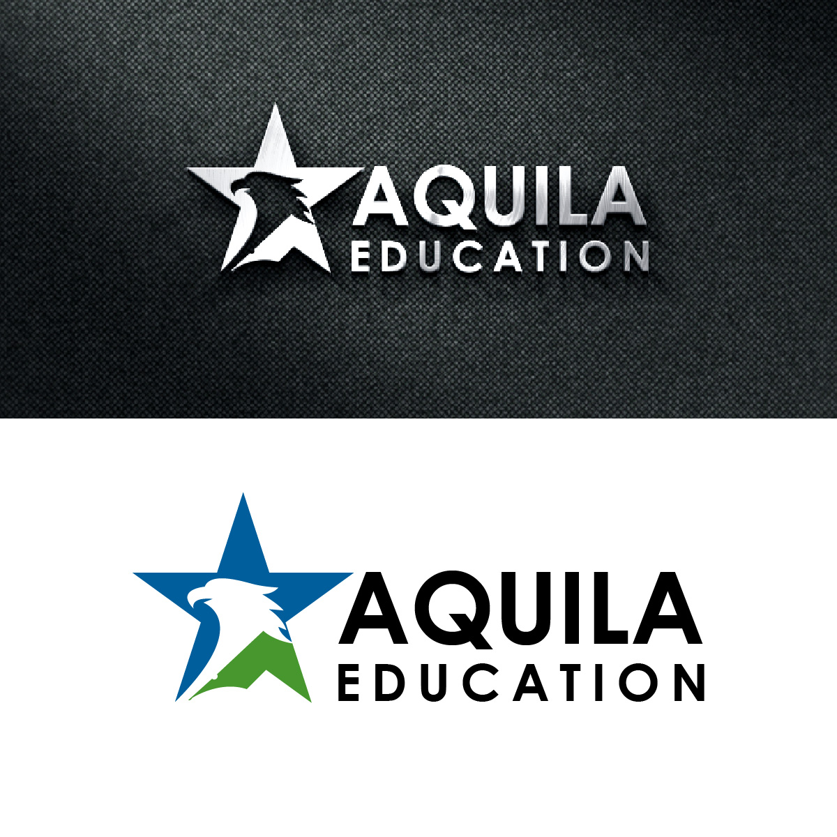 Logo Design by fly  design for this project | Design #33130437