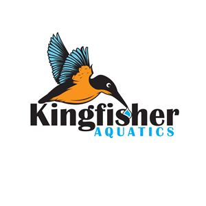 Design de Logo par Rosalie.. pour Kingfisher Aquatics | Design : #33127419