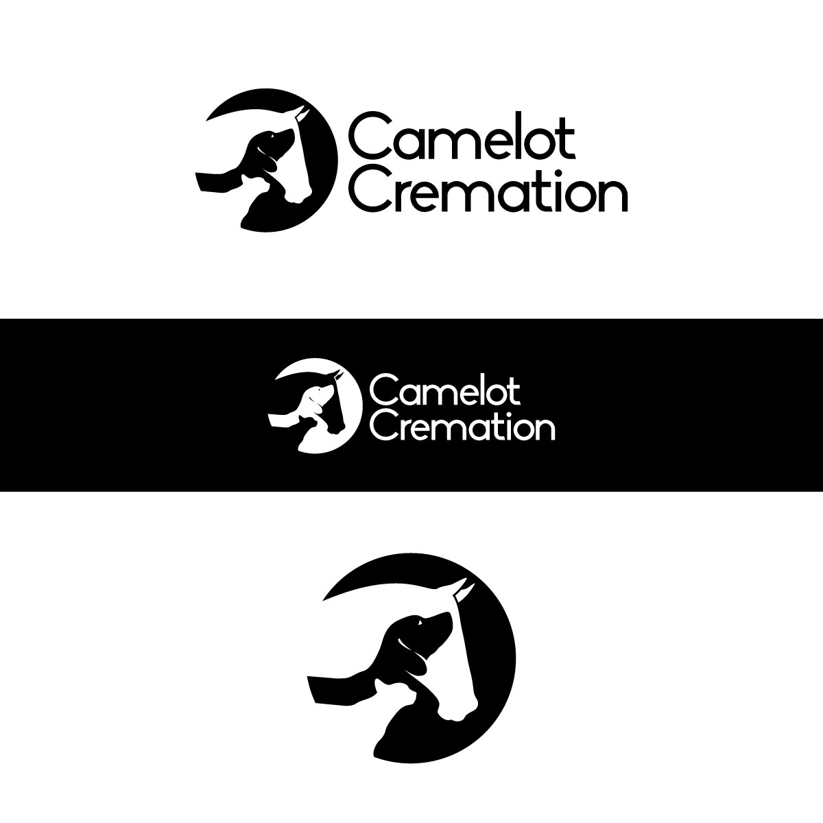 Logo Design by chris Ray for this project | Design #33155675