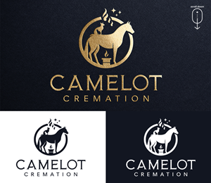 Logo Design by Zonda Studio for this project | Design: #33136766