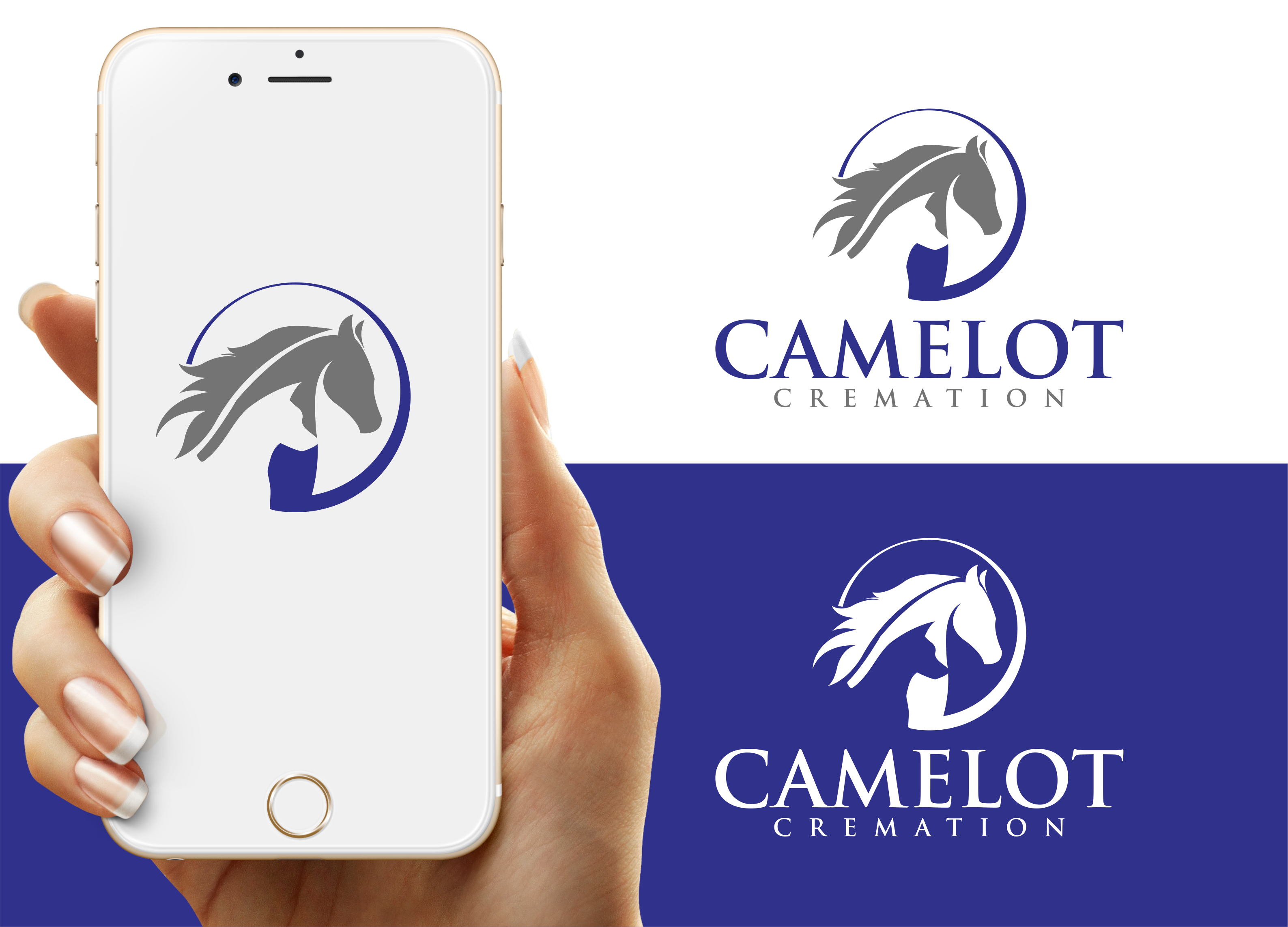 Logo Design by healer1617 for this project | Design #33135750