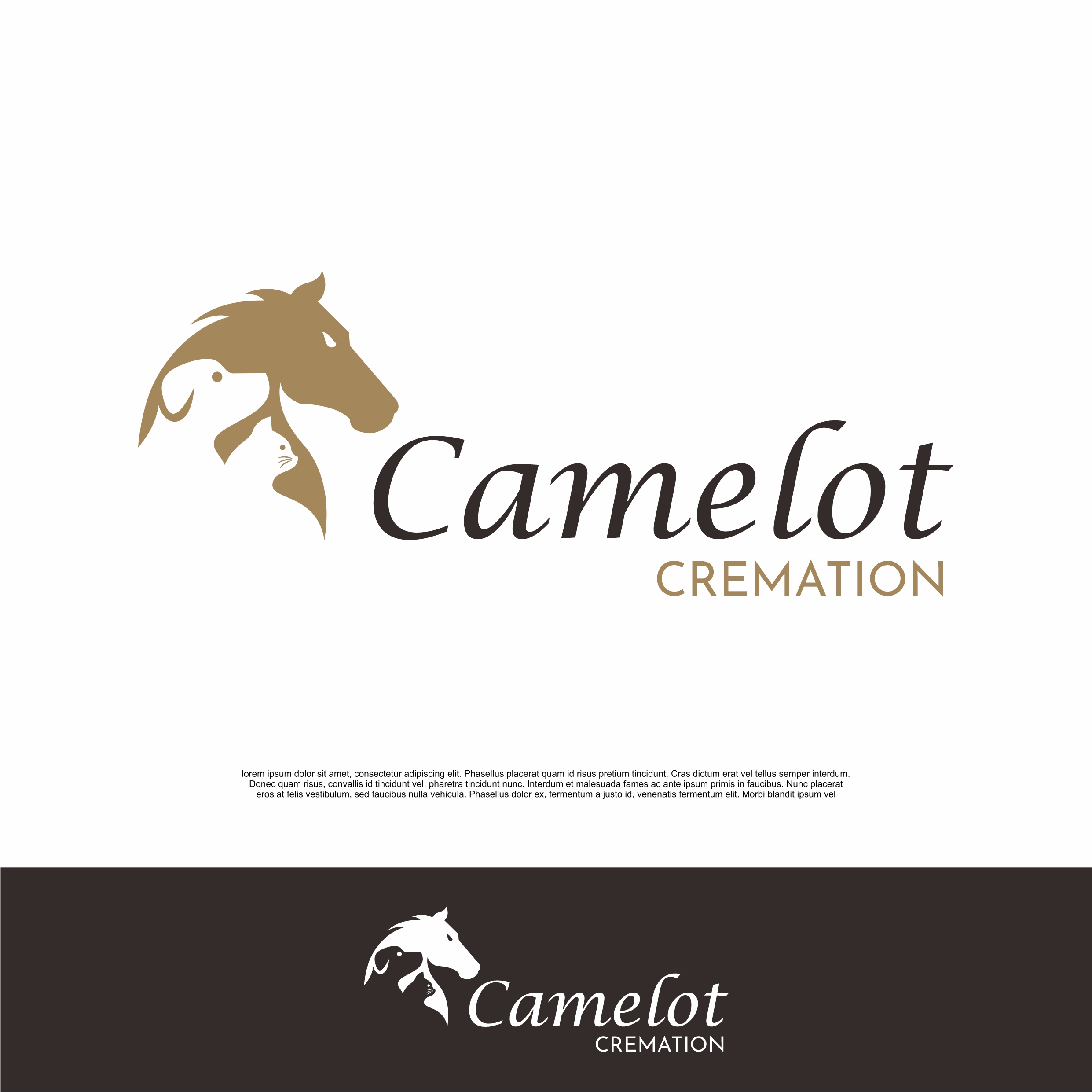 Logo-Design von MIRZA Design für dieses Projekt | Design #33143742