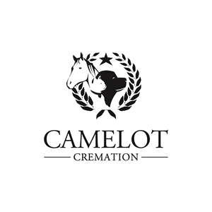 Logo Design by ZenCreations