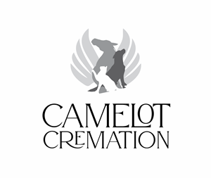 Logo Design by @logotype19