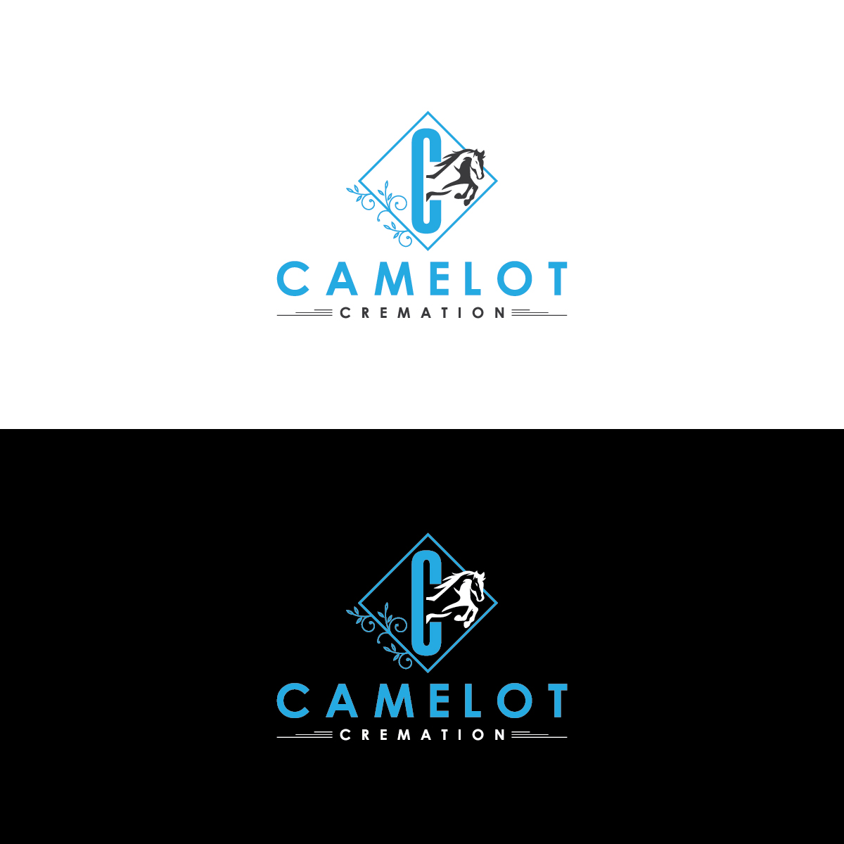 Logo Design by Deziners Zone for this project | Design #33135360