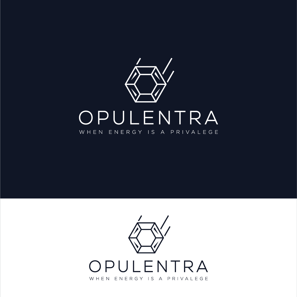 Logo Design by Barish Design for this project | Design #33143080