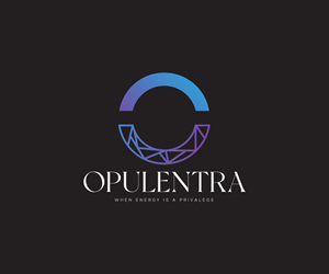 Logo Design by Ansh Design for this project | Design: #33142371